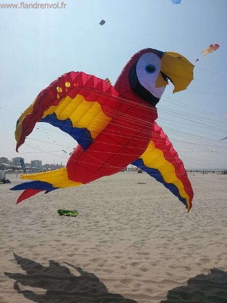 20150423_141510-BorderMaker.jpg - User comments