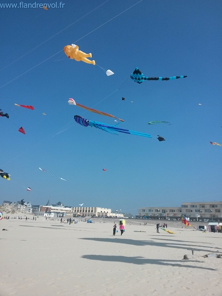 20150423_142003-BorderMaker.jpg - User comments