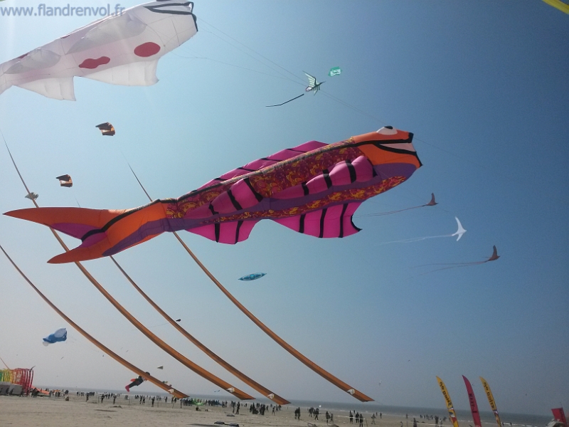 20150423_142541-BorderMaker.jpg - User comments