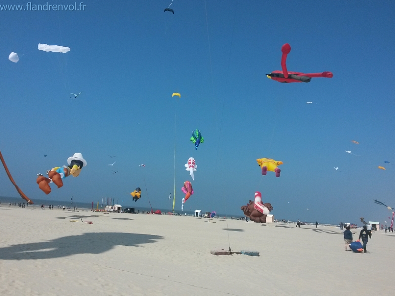 20150423_142848-BorderMaker.jpg - User comments