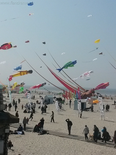 20150423_143742-BorderMaker.jpg - User comments