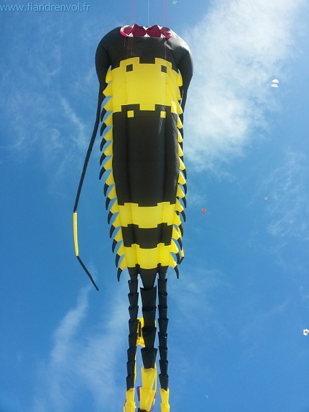 20150425_164207-BorderMaker.jpg - User comments