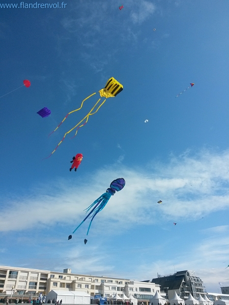 20150425_164302-BorderMaker.jpg - User comments