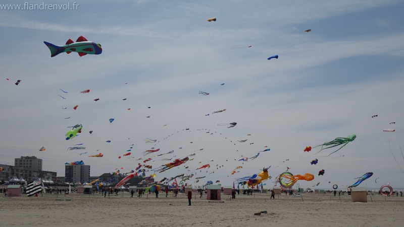 DSC00635-BorderMaker.jpg