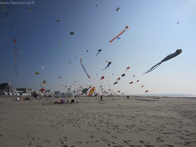 IMG_3725-BorderMaker.jpg
