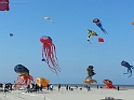 20150419_101035-BorderMaker