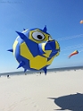 20150422_151430-BorderMaker