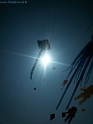 20150423_141556-BorderMaker