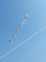 20150423_142251-BorderMaker