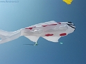 20150423_142609-BorderMaker