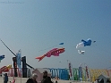 20150423_142840-BorderMaker