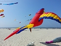 20150423_143315-BorderMaker
