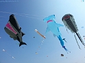 20150423_144528-BorderMaker