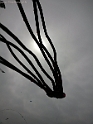 20150424_150257-BorderMaker