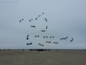 20150425_115223-BorderMaker