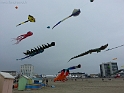 20150425_115618-BorderMaker