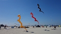 DSC00420-BorderMaker