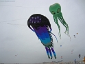 IMG_3751-BorderMaker