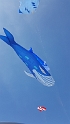 20170405_135634