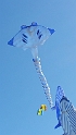 20170405_163533