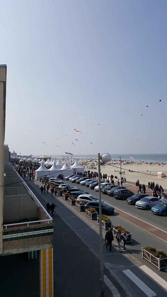20190406_124419.jpg