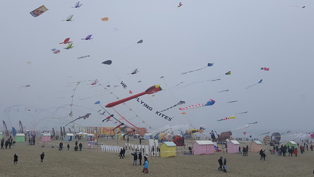 20190407_162155.jpg