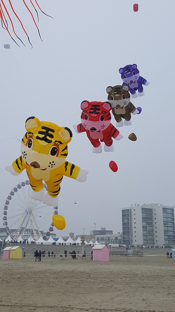 20190407_173316.jpg