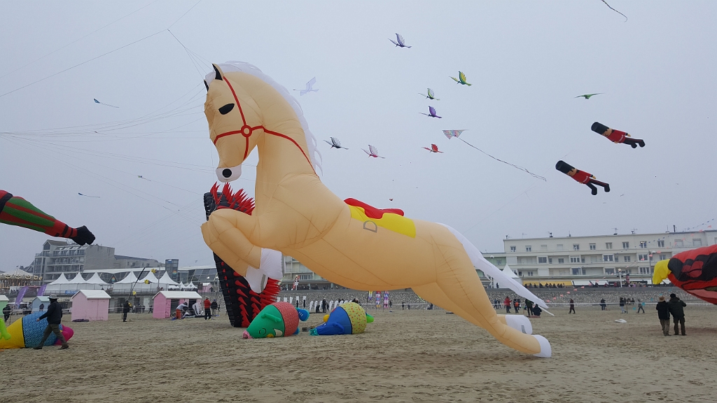 20190407_174500.jpg