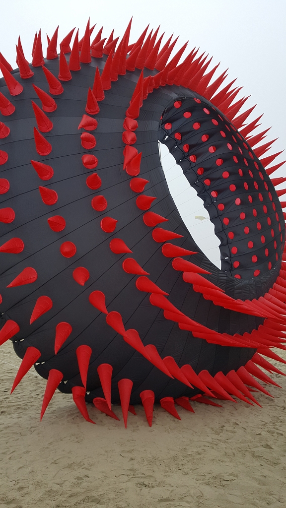 20190407_175014.jpg