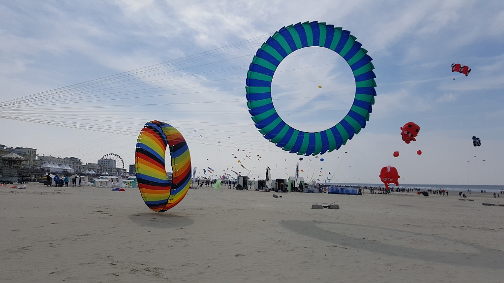 20190410_142605.jpg