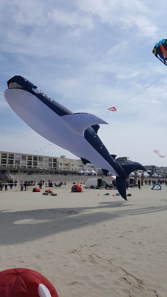 20190410_145230.jpg