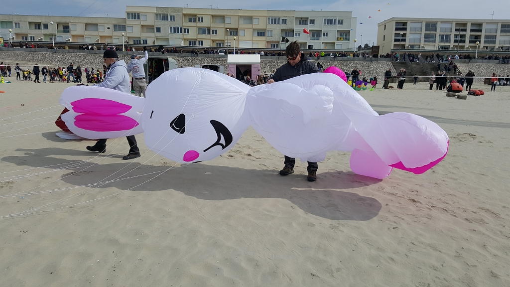 20190410_145331.jpg