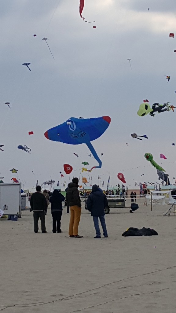 20190412_155139.jpg