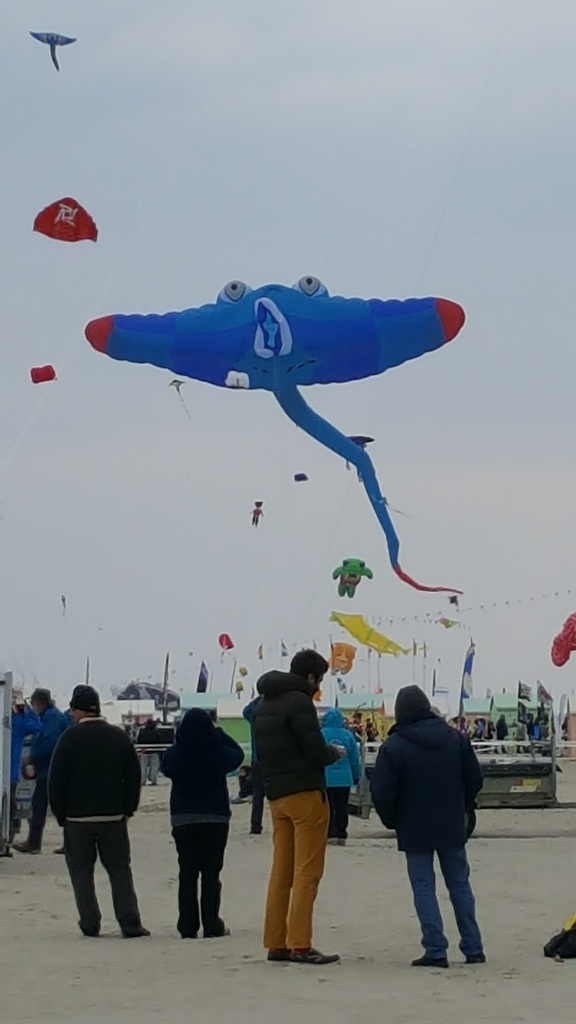 20190412_155145.jpg