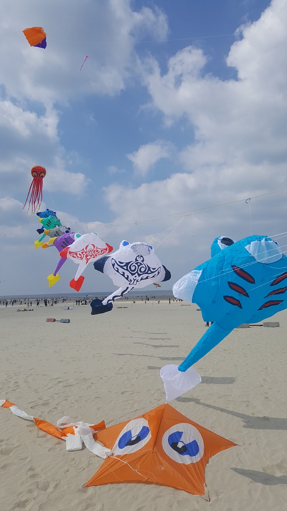20190414_131054.jpg