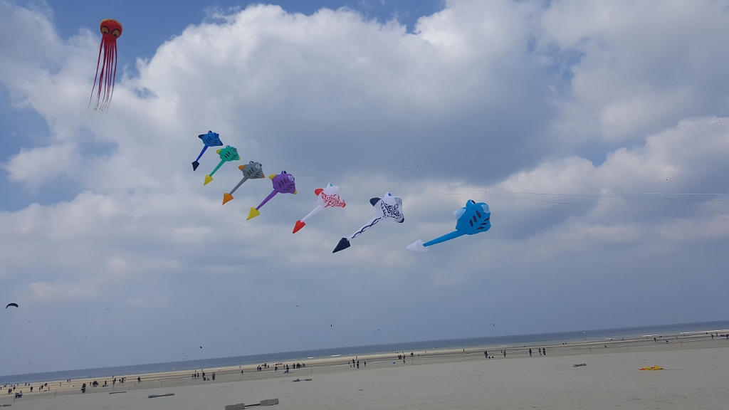 20190414_131209.jpg