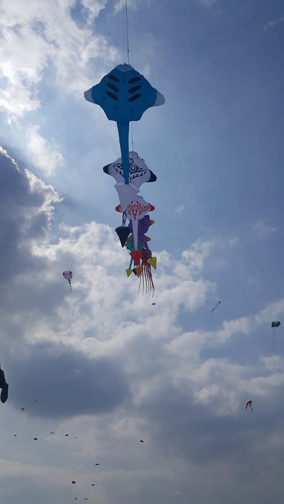 20190414_141936.jpg