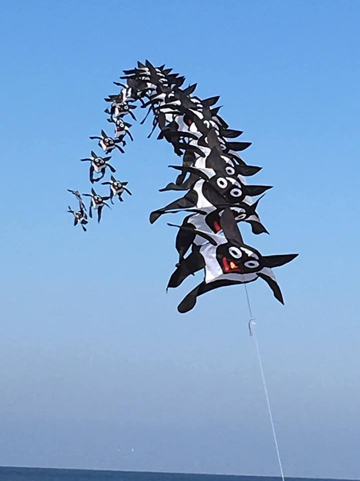 56795704_1202135186628895_2373774350860943360_n.jpg