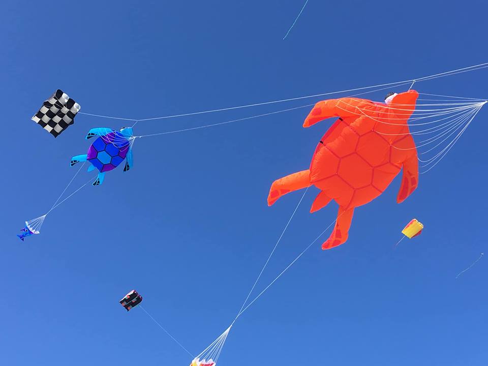 56965466_1200756663433414_1947236368396582912_n.jpg