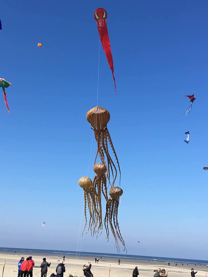 57015623_1202133703295710_1575591551193579520_n.jpg