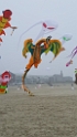 20190407_172740