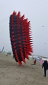20190407_175019