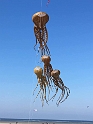56757473_1202133733295707_5443057117017669632_n