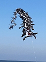 56795704_1202135186628895_2373774350860943360_n
