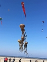 57015623_1202133703295710_1575591551193579520_n