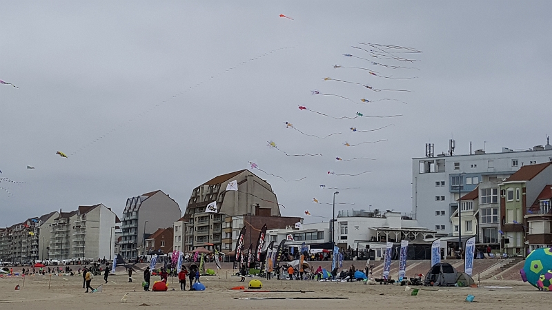 20180519_141221.jpg