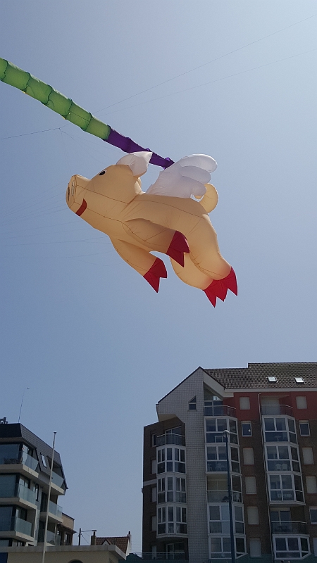 20180520_141902.jpg