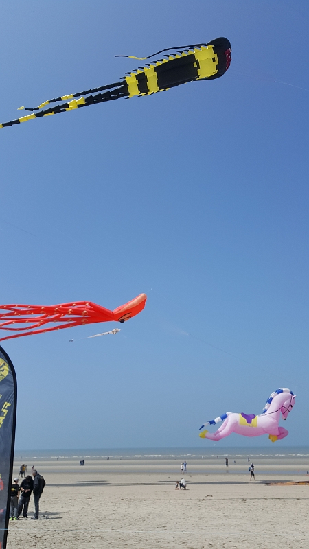 20180520_142943.jpg