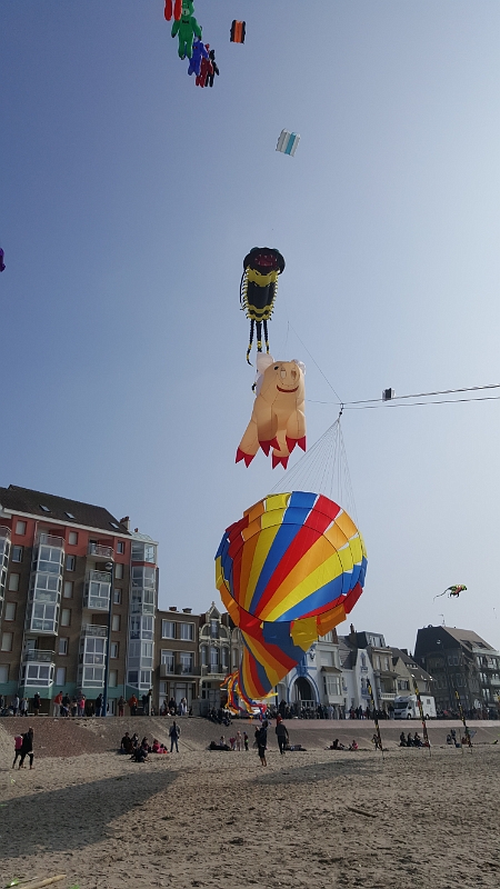 20180520_174314.jpg