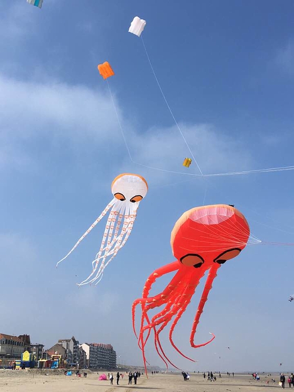 32972198_971887382987011_2940533905914068992_n.jpg